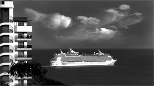 Paquete largando do Funchal | Joo Gaspar de Jesus