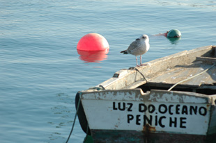 Luz do Oceano - Porto de Peniche